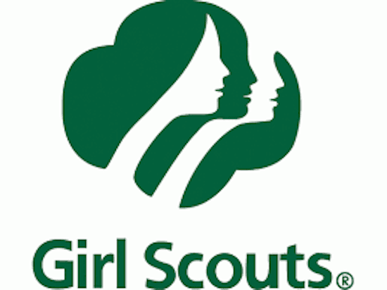 /_next/static/media/companies-girl-scouts.91447c83.png